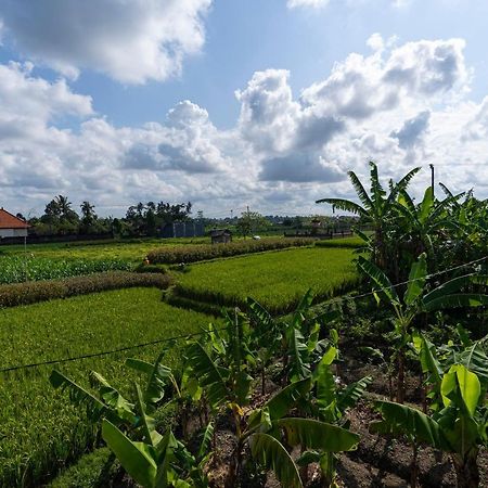 Oemah Joglo Bali Villa Ubud Kültér fotó