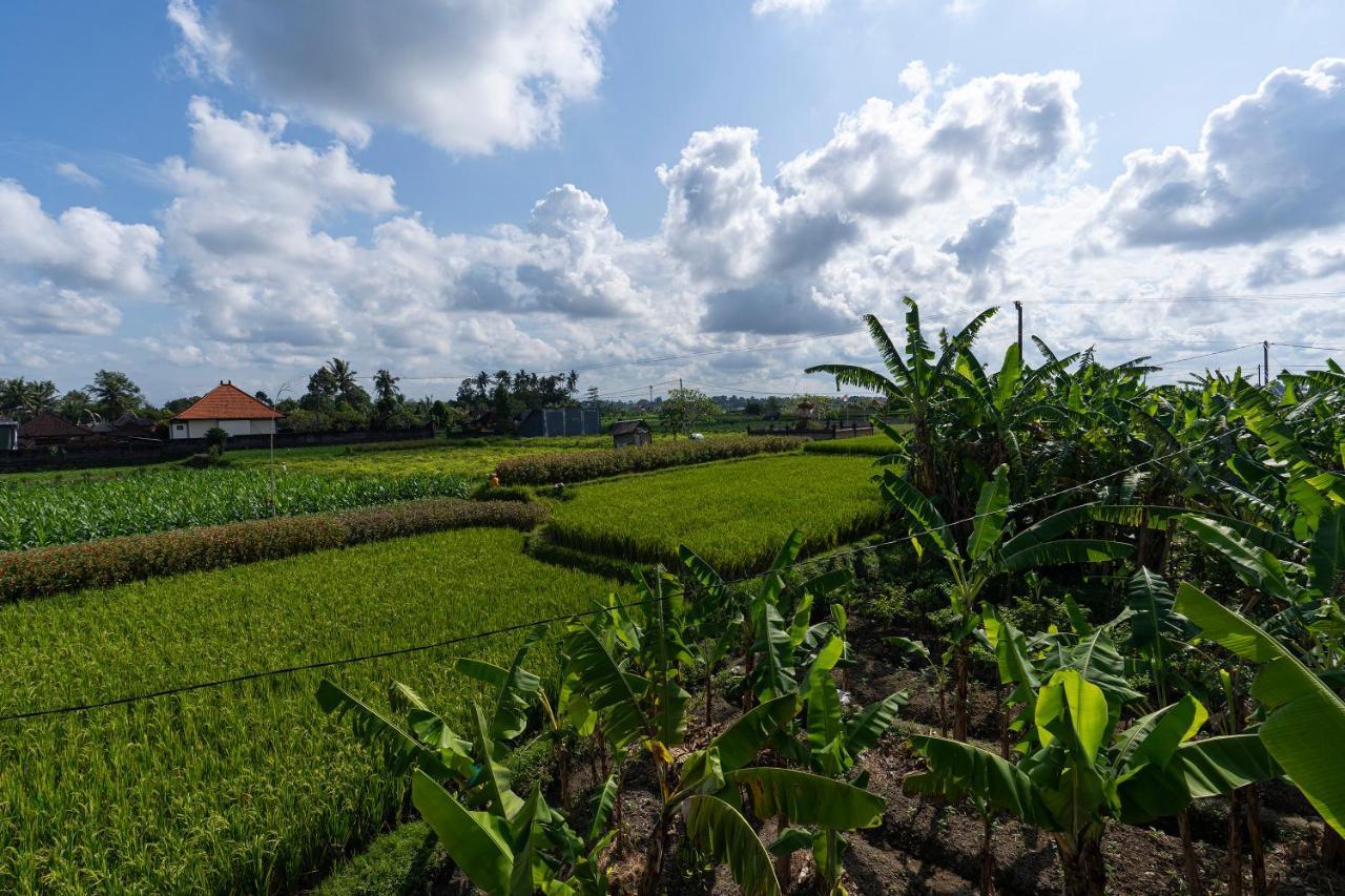 Oemah Joglo Bali Villa Ubud Kültér fotó