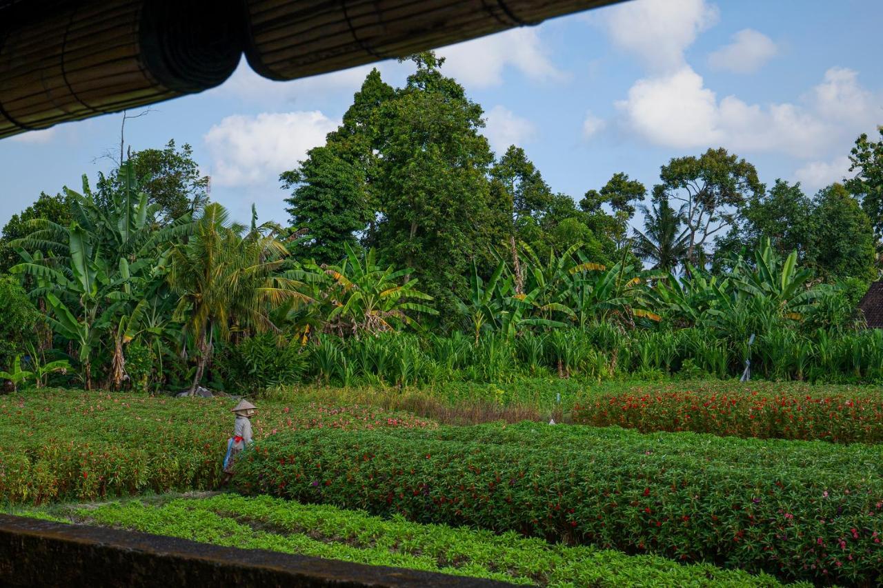 Oemah Joglo Bali Villa Ubud Kültér fotó